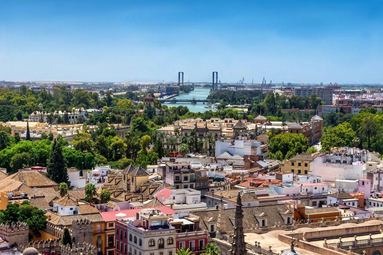 Canarios Sweet Home Sevilla