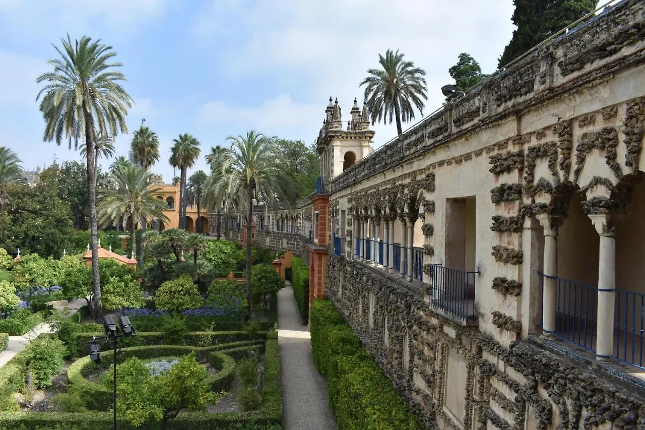 Canarios Sweet Home Seville