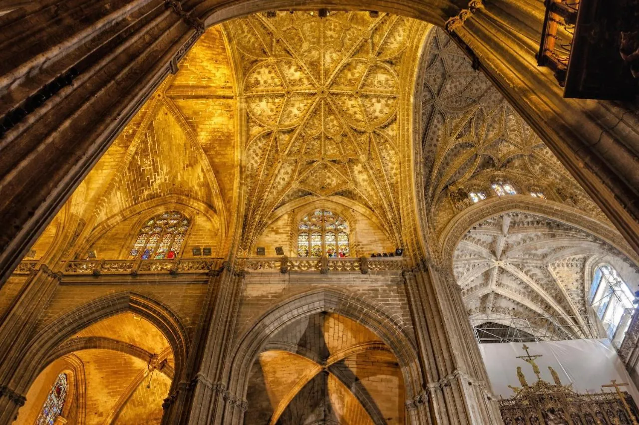Canarios Sweet Home Seville